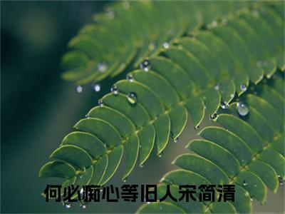 何必痴心等旧人宋简清免费阅读无弹窗大结局_（何必痴心等旧人宋简清：结局+番外）何必痴心等旧人宋简清最新章节列表_笔趣阁（何必痴心等旧人宋简清：结局+番外）