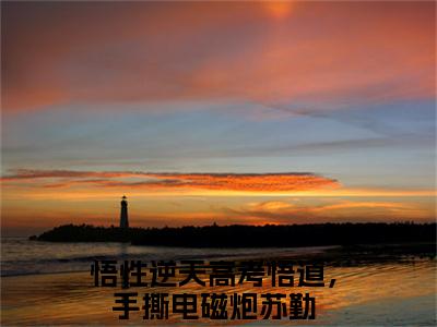 悟性逆天高考悟道，手撕电磁炮苏勤：全文+后续（悟性逆天高考悟道，手撕电磁炮苏勤：全文+后续）全文免费阅读无弹窗大结局_悟性逆天高考悟道，手撕电磁炮苏勤：全文+后续（悟性逆天高考悟道，手撕电磁炮苏勤）最新章节列表_笔趣阁（悟性逆天高考悟道，手撕电磁炮苏勤）