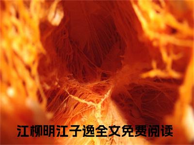 挚爱终成幻境（江柳明江子逸）全文免费阅读无弹窗_（江柳明江子逸小说全文免费阅读）挚爱终成幻境最新章节列表笔趣阁