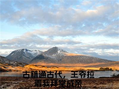 古籍通古代，王爷拉着我拜堂成亲（苏姚萧钰）全文免费阅读无弹窗大结局_古籍通古代，王爷拉着我拜堂成亲免费阅读无弹窗最新章节列表