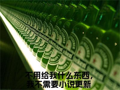 不用给我什么东西，我不需要周凛安宋蕴清特别篇章节目录+章节前文（周凛安宋蕴清）TXT清爽版在线