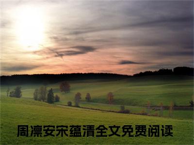 新章速递周凛安宋蕴清是什么小说(不用给我什么东西，我不需要)完本阅读无广告（周凛安宋蕴清）