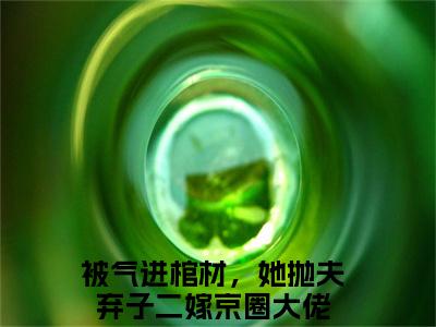 (番外)+(全文)沈暧：全文+后续+结局免费下载阅读_(被气进棺材，她抛夫弃子二嫁京圈大佬)沈暧：全文+后续+结局最新章节列表_笔趣阁（被气进棺材，她抛夫弃子二嫁京圈大佬）