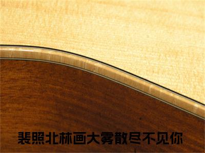 大雾散尽不见你裴照北林画电子书+番外篇章+（裴照北林画）免费版在线阅读