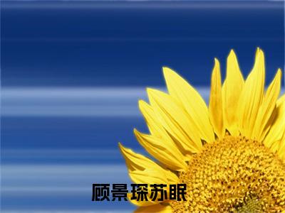 顾景琛苏眠（七年暗度）全文免费阅读无弹窗大结局_顾景琛苏眠小说（七年暗度）最新章节列表