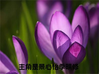 不再错爱景心怡季明修续集起点章节+全书阅读（景心怡季明修）书荒必看