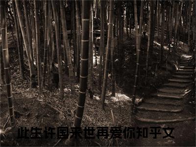 此生许国来世再爱你小说(苏青瑶林朝先)全文+后续（此生许国来世再爱你）畅享阅读