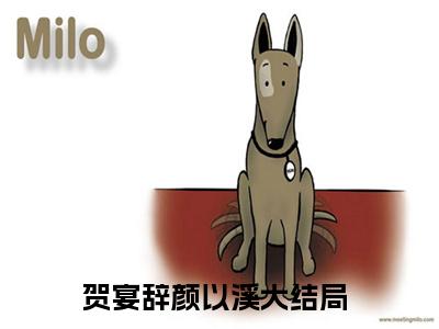 贺宴辞颜以溪小说无删减阅读无干扰（且听且忘且随风）番外+续集
