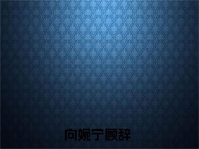 流年落尽空白首：+后续+番外向婉宁顾辞无删减小说在线无广告高口碑小说