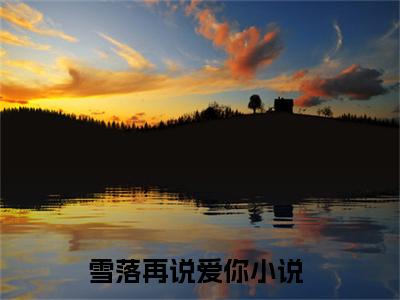 雪落再说爱你小说(周京泽宋南夕)最近更新（雪落再说爱你）整本无套路阅读