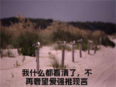 周晴雨程时岸：结局+番外精品选集（我什么都看清了，不再奢望爱）番外+续集