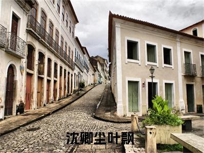 雾色哪堪真心结局+番外（沈卿尘叶飘）全文免费阅读全集完整版_雾色哪堪真心结局+番外最新章节无弹窗（沈卿尘叶飘）