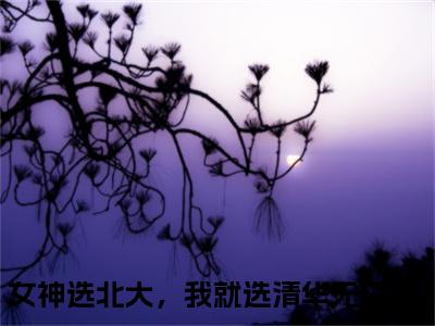 孟庭初易念微（女神选北大，我就选清华全章节完整版）免费阅读_（女神选北大，我就选清华）孟庭初易念微全文无删减免费阅读