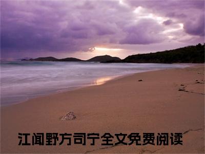 江闻野方司宁：结局+番外免费品鉴+全书阅读（原来她是见不得光的金丝雀）：结局+番外评价五颗星