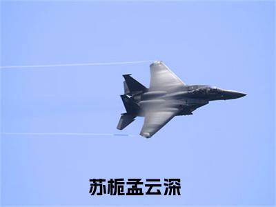 苏栀孟云深：全文+后续（苏栀孟云深）全文最新免费阅读无弹窗_苏栀孟云深：全文+后续精选章节小说阅读_笔趣阁（苏栀孟云深）