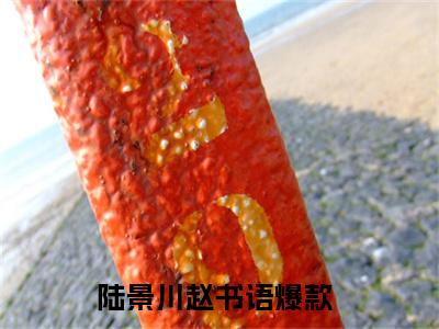 过期求婚陆景川赵书语特别篇章节目录+章节前文（陆景川赵书语）TXT清爽版在线