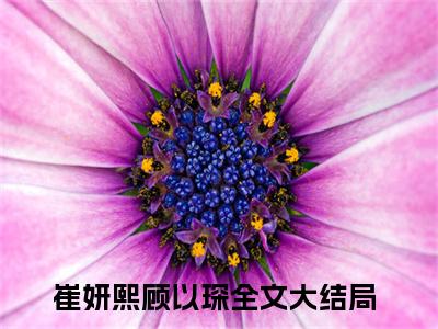 崔妍熙顾以琛全文免费阅读无弹窗大结局_（崔妍熙顾以琛）崔妍熙顾以琛免费阅读无弹窗最新章节列表_笔趣阁