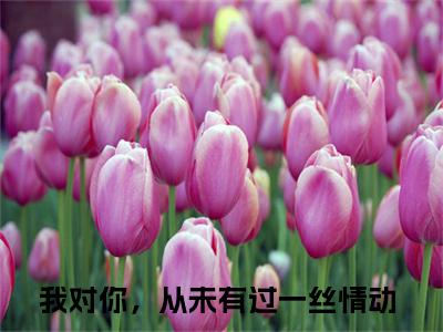 苏幼薇沈叙白：结局+番外(我对你，从未有过一丝情动)全文免费阅读无弹窗大结局_(苏幼薇沈叙白：结局+番外)最新章节列表_笔趣阁(我对你，从未有过一丝情动)