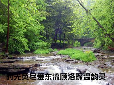 时光负尽爱东流：结局+番外全文免费阅读无弹窗大结局_（时光负尽爱东流）时光负尽爱东流：结局+番外最新章节列表_笔趣阁（时光负尽爱东流）