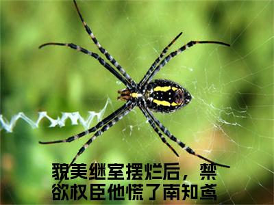 南知鸢谢清珏（貌美继室摆烂后，禁欲权臣他慌了/南知鸢谢清珏：结局+番外）全文免费阅读无弹窗大结局_(貌美继室摆烂后，禁欲权臣他慌了)最新章节列表_笔趣阁（南知鸢谢清珏/貌美继室摆烂后，禁欲权臣他慌了：结局+番外）