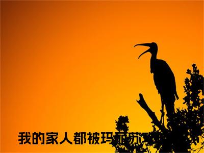 徐暮云时堰（我的家人都被玛丽苏攻略了/徐暮云时堰：结局+番外）全文免费阅读无弹窗大结局_(我的家人都被玛丽苏攻略了)最新章节列表_笔趣阁（徐暮云时堰/我的家人都被玛丽苏攻略了：结局+番外）