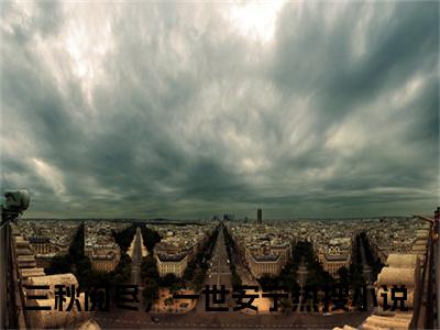 三秋阅尽，一世安宁小说(三秋阅尽，一世安宁)终章+番外（顾书亭沈秋宁）一口气阅读