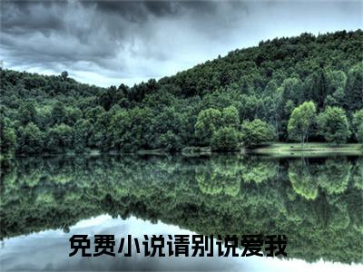 独家薄以宸宋微夏：结局+番外精编之作（请别说爱我）电子书畅享阅读