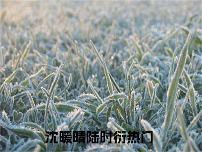 此后岁岁不复晴：结局+番外新上热文（沈暖晴陆时衍）最近章节列表
