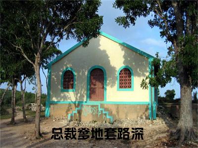 总裁爹地套路深：结局+番外（胡苏苏祁子容）完结版全文免费阅读_总裁爹地套路深：结局+番外大结局全章节阅读（胡苏苏祁子容）