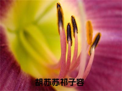 总裁爹地套路深胡苏苏祁子容附加完整在线阅读（胡苏苏祁子容）最近更新列表