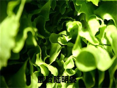 火光下你的荣耀（鹿聆陆明晏：结局+番外）全文免费阅读无弹窗大结局_(火光下你的荣耀)最新章节列表_笔趣阁（鹿聆陆明晏：结局+番外）