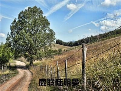 鹿聆陆明晏（火光下你的荣耀）免费阅读无弹窗大结局_鹿聆陆明晏小说（火光下你的荣耀）免费阅读最新章节列表