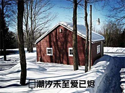 （秦薇黄淮生）潮汐未至爱已烬小说最终篇章章节在线无广告高口碑小说