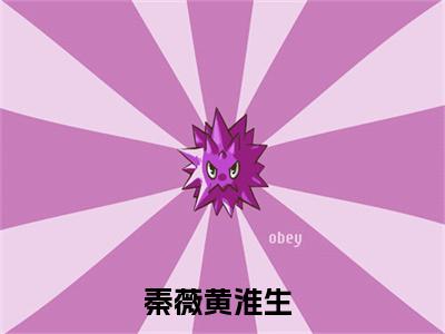潮汐未至爱已烬：+后续+番外秦薇黄淮生无删减小说在线无广告高口碑小说
