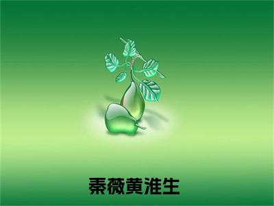 潮汐未至爱已烬：+后续+番外秦薇黄淮生无删减小说在线无广告高口碑小说