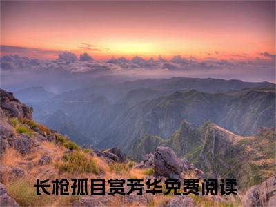 长枪孤自赏芳华后续(沈静姝萧祈年)（长枪孤自赏芳华）整本畅享在线+无广告结局