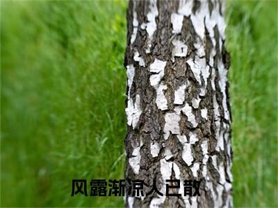 傅时序宋婉宁免费阅读下载全章节_（风露渐凉人已散结局+番外）完结版全文小说傅时序宋婉宁在线阅读