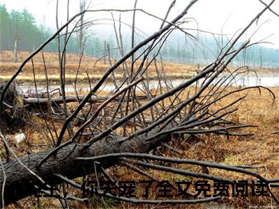 池先生，你失宠了：结局+番外（叶舒萌池南川）小说免费更新在线阅读_池先生，你失宠了：结局+番外免费全文阅读笔趣阁（叶舒萌池南川）