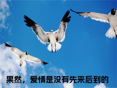 沈思南傅京辞果然，爱情是没有先来后到的终章（果然，爱情是没有先来后到的）完整章节列表_笔趣阁
