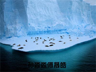 （孙淼淼傅晟皓）孙淼淼傅晟皓小说(孙淼淼傅晟皓)整书在线无广告高口碑小说