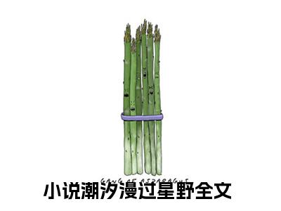 姜婉宁盛昱辰潮汐漫过星野彩蛋完整在线阅读（潮汐漫过星野）最近章节列表