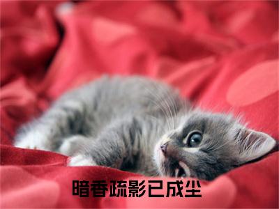 暗香疏影已成尘（宋窈宁陆靳言）小说免费下载全本-暗香疏影已成尘（宋窈宁陆靳言完整版）免费阅读