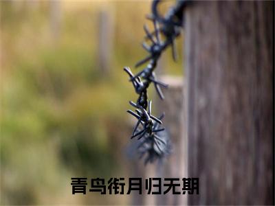 青鸟衔月归无期结局+番外（青鸟衔月归无期结局+番外）全文免费阅读无弹窗大结局_青鸟衔月归无期结局+番外（阮语晨秦书淮）最新章节列表_笔趣阁（阮语晨秦书淮）