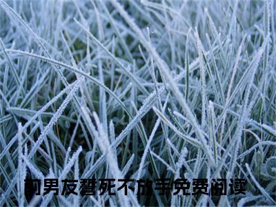 顾嘉怡陆斯延前男友誓死不放手完结篇（前男友誓死不放手）全篇免费版在线+无障碍结局