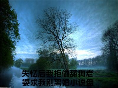 失忆后我拒做舔狗老婆求我别离婚（陈乾苏雪）全文阅读完整版_陈乾苏雪小说免费阅读大结局（失忆后我拒做舔狗老婆求我别离婚）