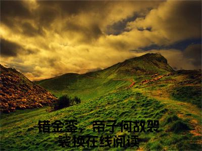 错金銮，帝子何故袈裟换陆翊顾云昭小说(错金銮，帝子何故袈裟换)（陆翊顾云昭）在线畅读+开篇大作+前传