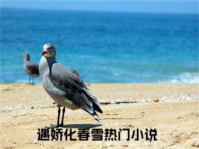 遇娇化春雪（江羡姣褚琰）结局+番外新上热文_（江羡姣褚琰）遇娇化春雪小说全文免费阅读最新章节列表笔趣阁