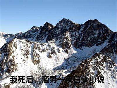 厉云旗时微微:全文+番外+章节前文（我死后，渣男一夜白头）TXT清爽版在线
