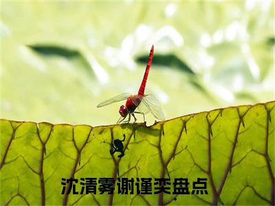 爱恨已去红颜空续集（沈清雾谢谨奕）章节在线阅读最近章节