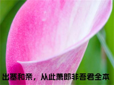 (出塞和亲，从此萧郎非吾君：结局+番外)经典书荒必读(李元瑛萧衡)全文免费阅读无弹窗大结局_出塞和亲，从此萧郎非吾君：结局+番外最新章节列表_笔趣阁李元瑛萧衡